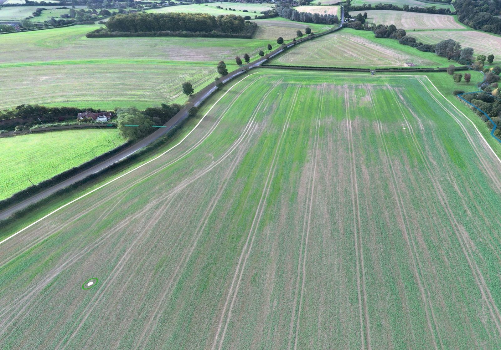 A 360-degree view of a field from the drone, looking across green rows of oilseed rape towards a hedgerow and open countryside.